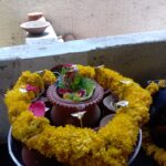 KALSARP DOSH & NAGDOSH SHANTI POOJA